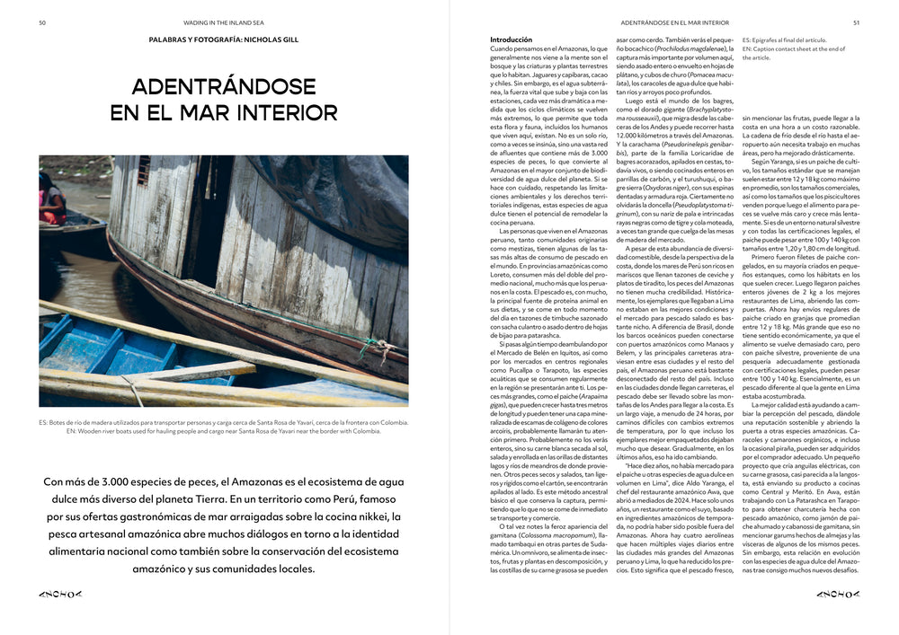 Issue 005