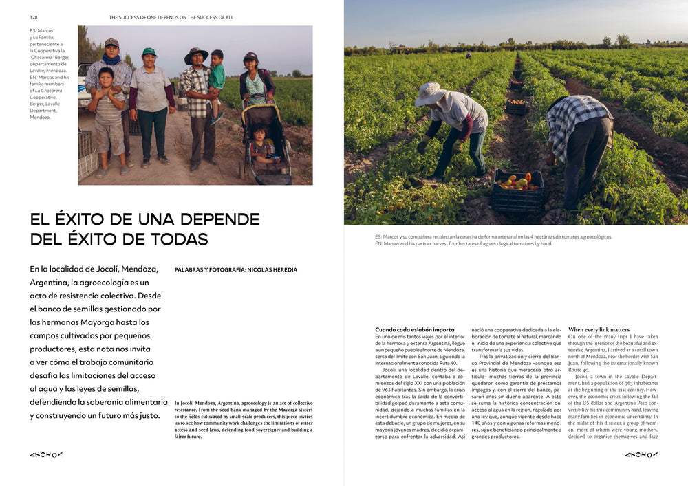 Issue 005