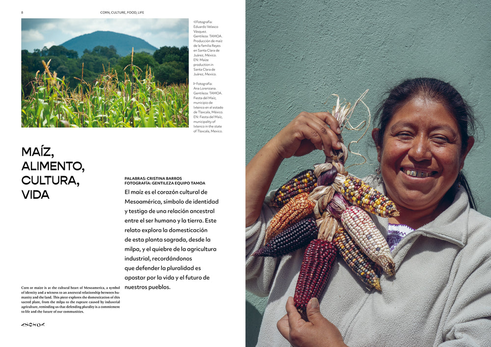 Issue 005