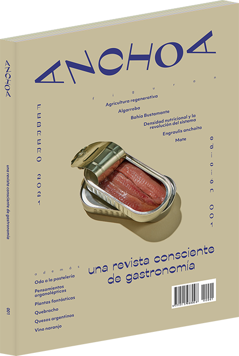 Issue 001